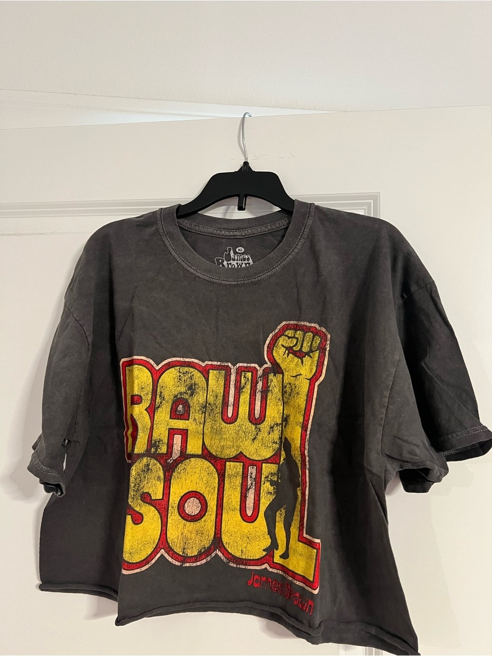 James Brown "Raw Soul" Cropped Graphic Tee
